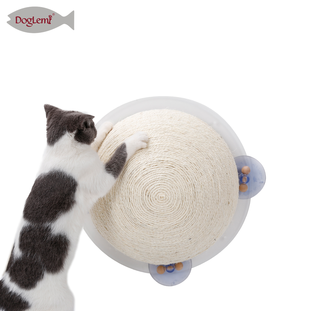 Gato lechón atrapando una pelota semiesférica
