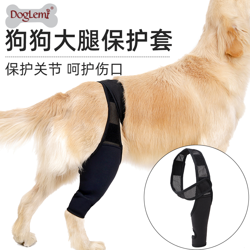 Perspectiva de la pata de la pierna frontal de la parte posterior delantera PROTECTOR DE PET PET PROTECTOR DE RODIENDA HOCHA DE PIERNAS DE PIERNA PARA LA PISTA TINTA PET PET BRACE CUALS