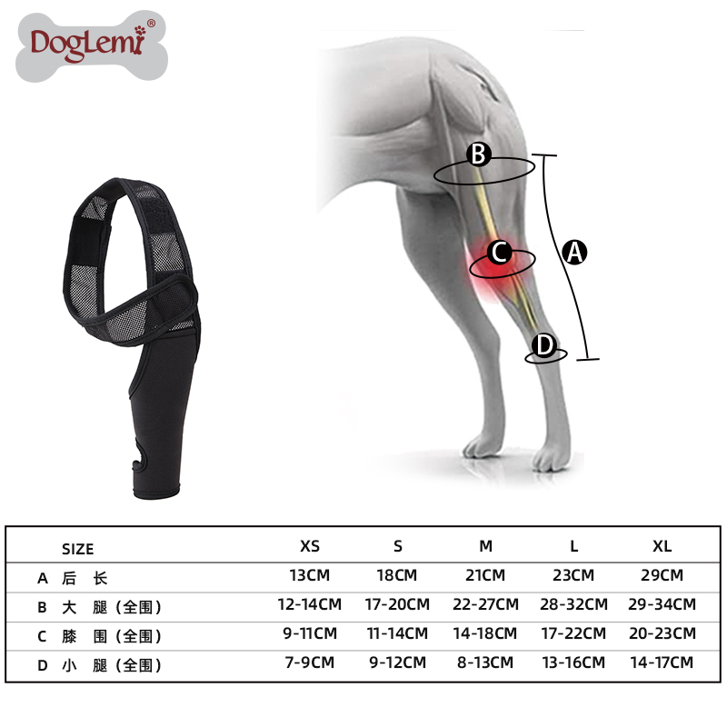 Perspectiva de la pata de la pierna frontal de la parte posterior delantera PROTECTOR DE PET PET PROTECTOR DE RODIENDA HOCHA DE PIERNAS DE PIERNA PARA LA PISTA TINTA PET PET BRACE CUALS
