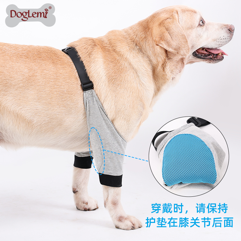 狗狗腿部受伤护具大狗前腿光节保护套护膝 宠物光节保暖磨损护具 (2只装)