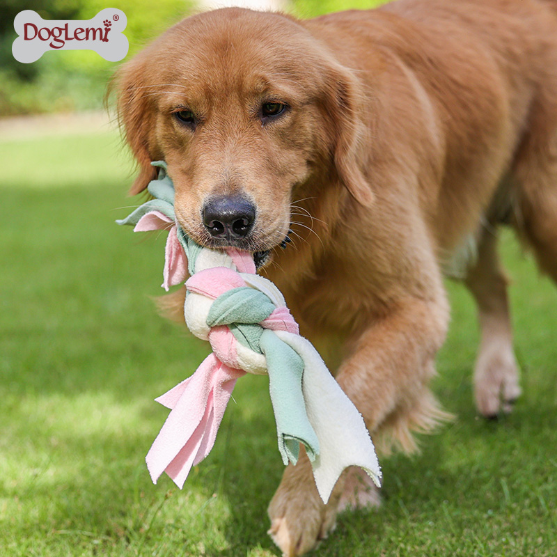 Toys de corde chien tressé chiot broyant dents dents dents dentaires nettoyage dentaire produit chien mâle jouets