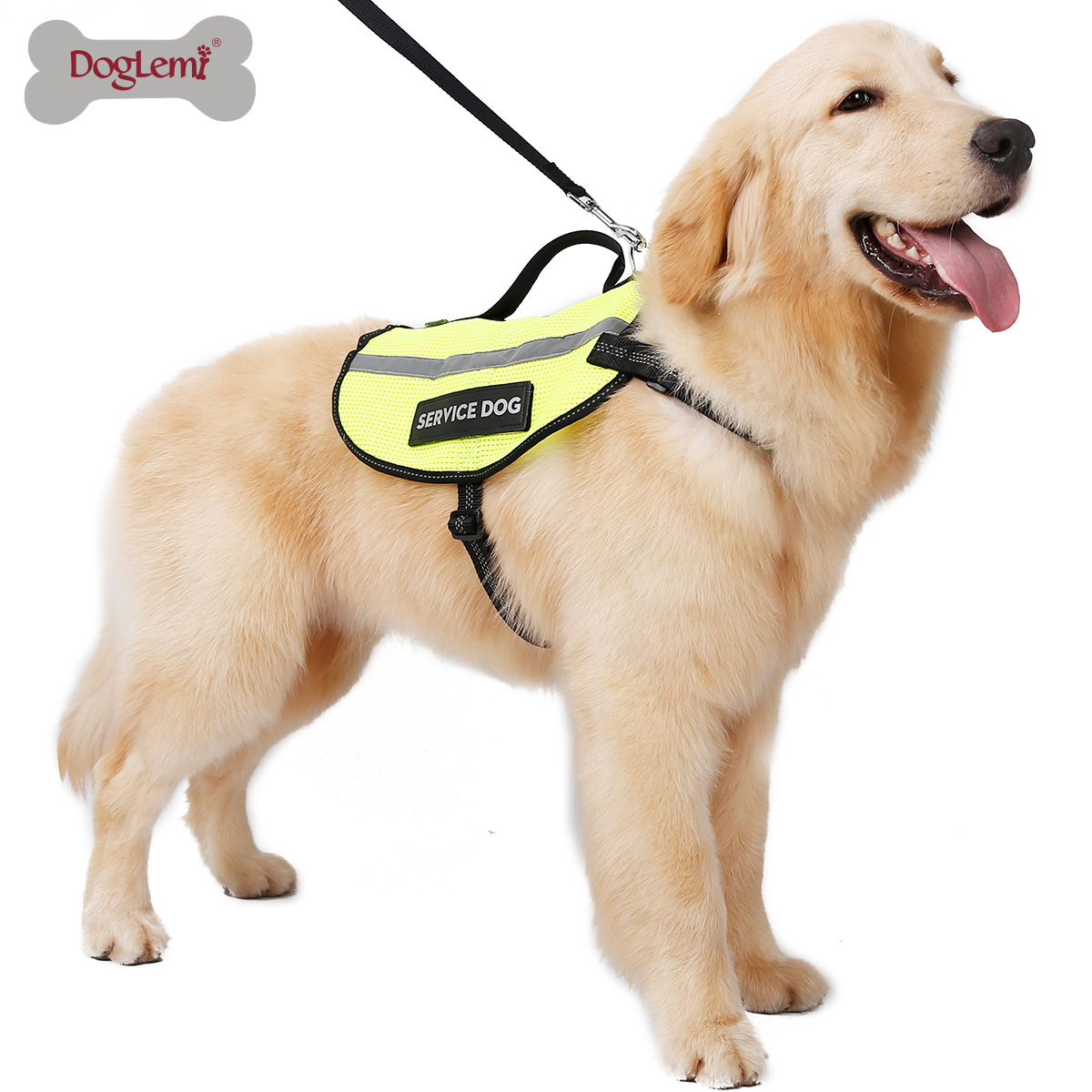 Gilet de service de chien