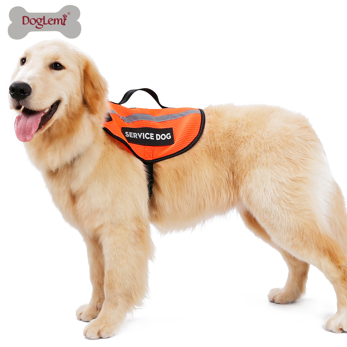 Gilet de service de chien