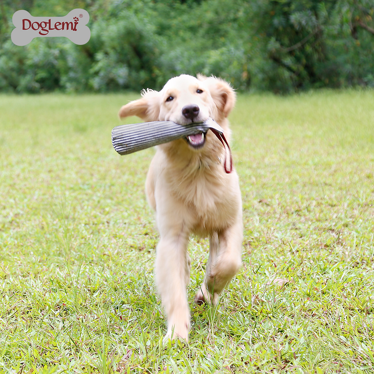 Dog Toy Bottle Cover