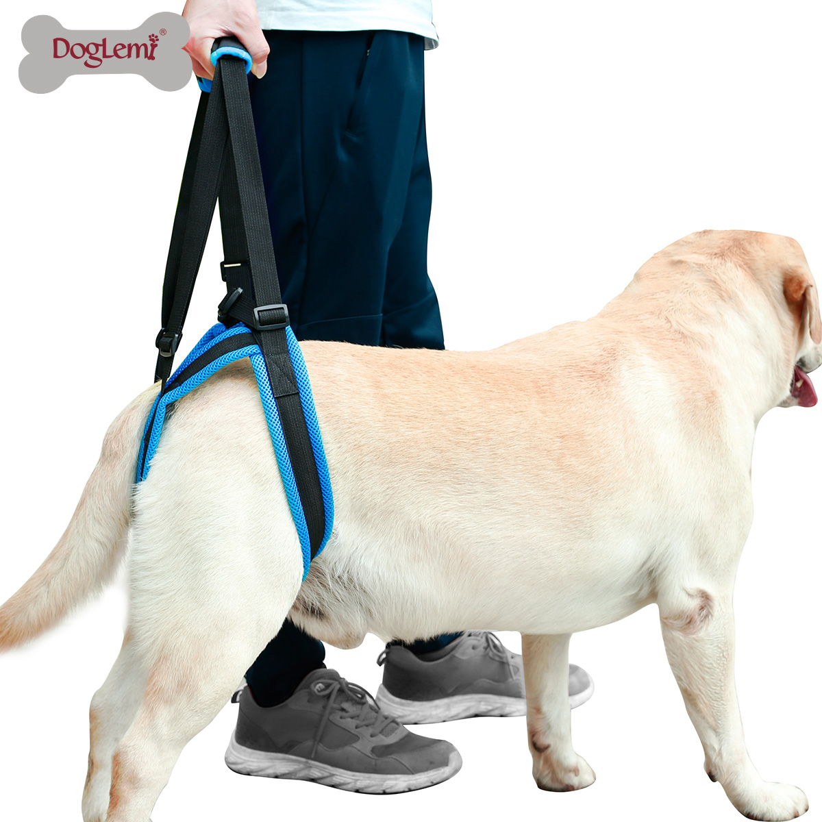 Ceinture auxiliaire de jambe arrière de chien