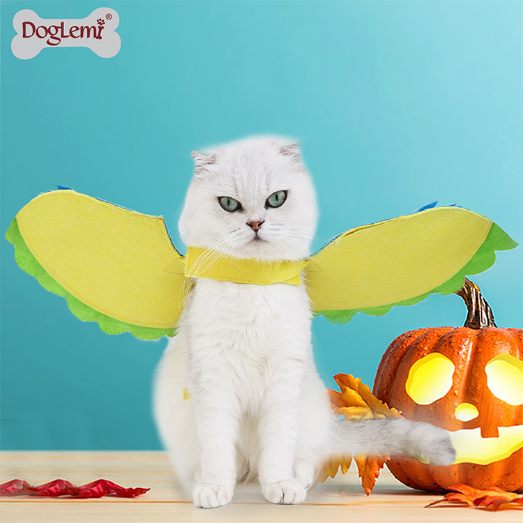 Fantaisie oiseau conception chat costume costume cosplay de mode Halloween festival fête chat petit animal habillage habillement