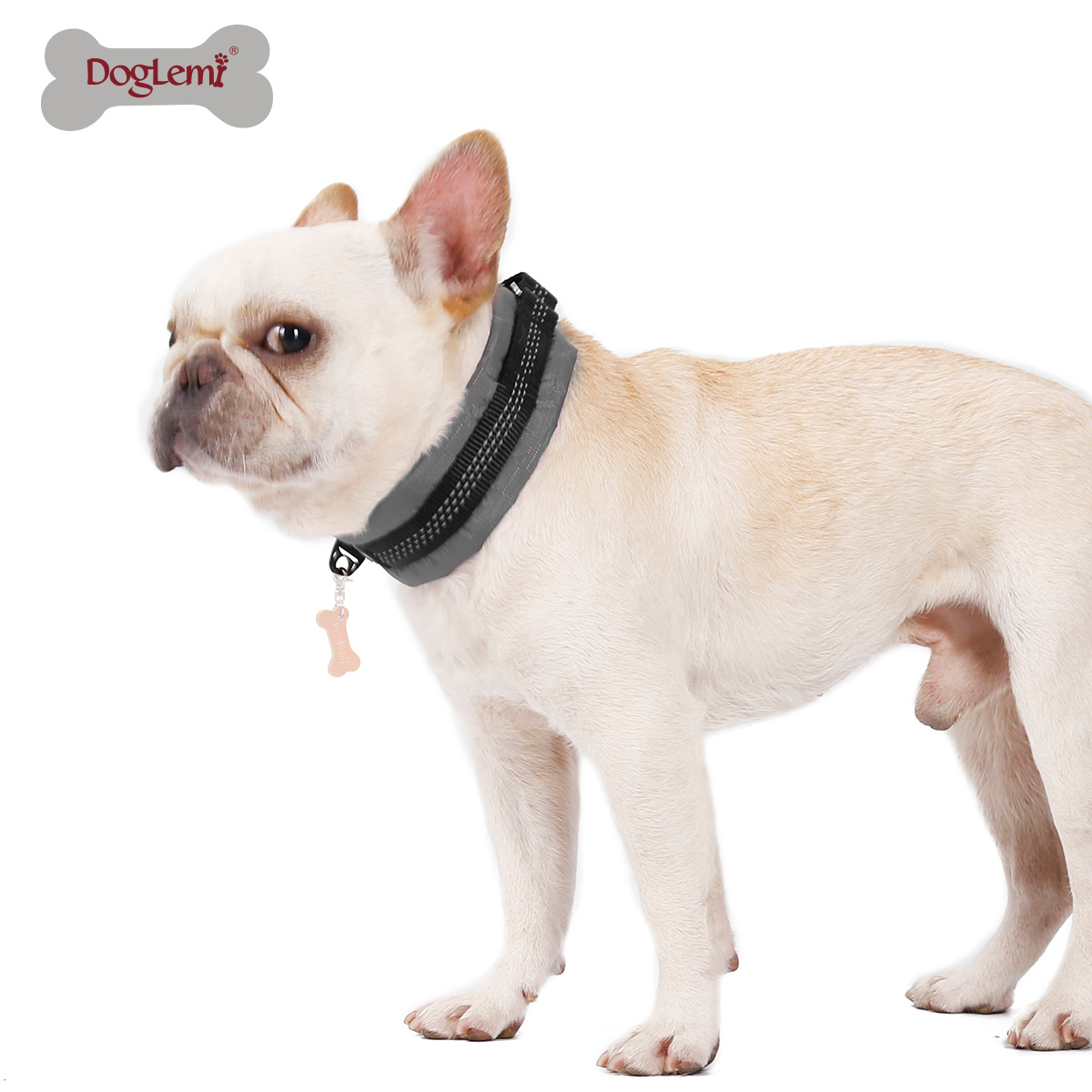 Martingale dog collar