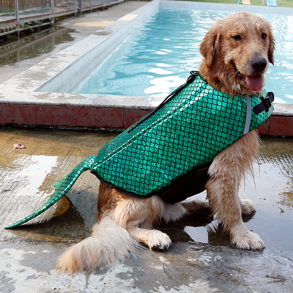Mermaid pet life jacket