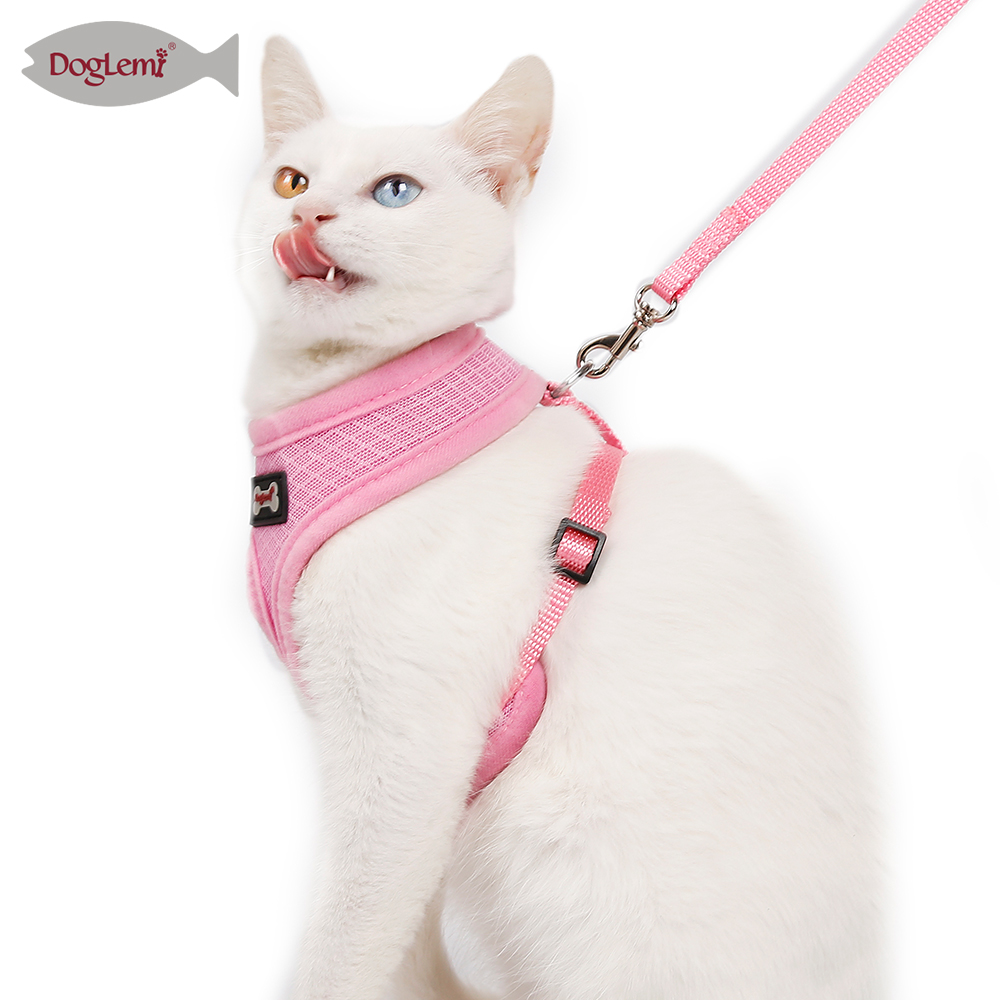 Mesh Cat Harness
