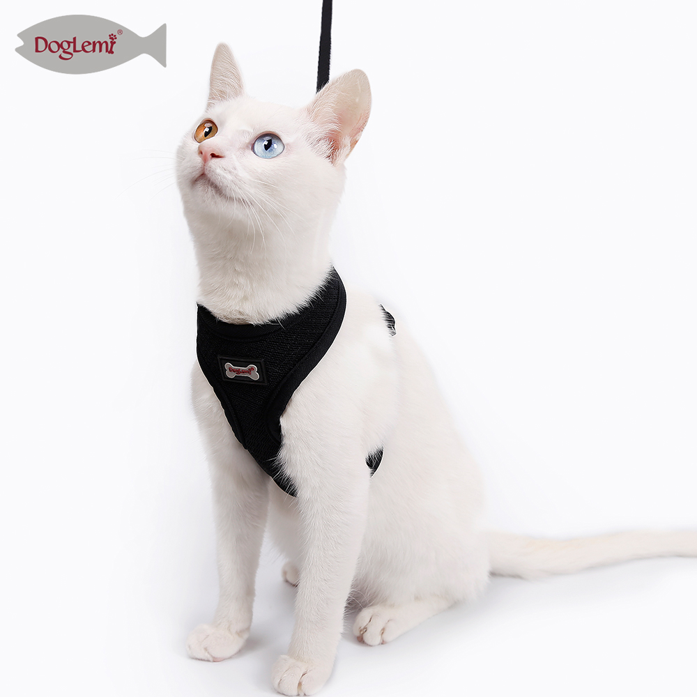 Mesh Cat Harness