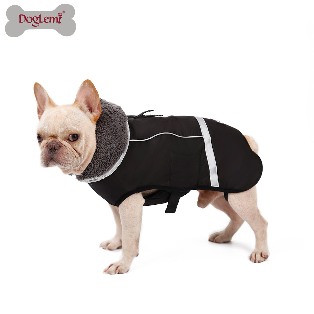 Сгущать новую одежду для собак