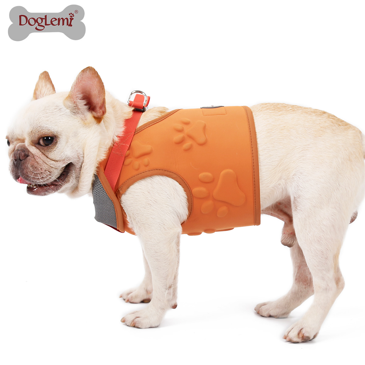Paw Dog Harness