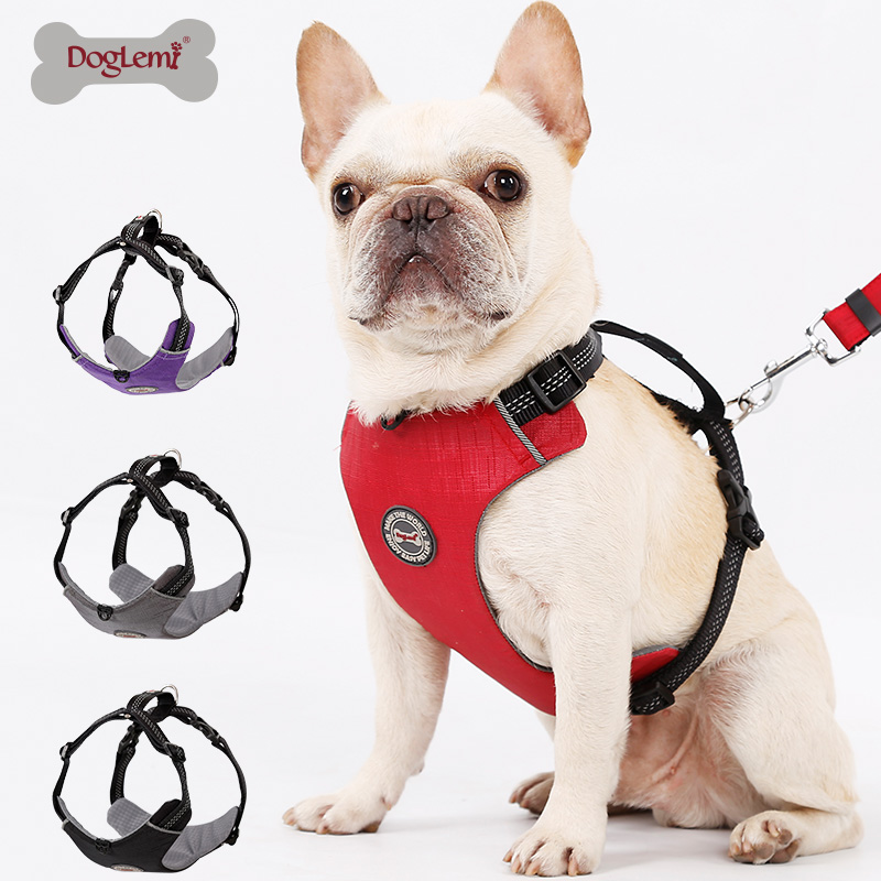 Pet Harness
