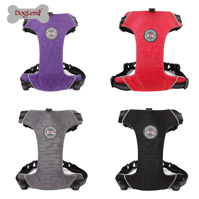 Pet Harness