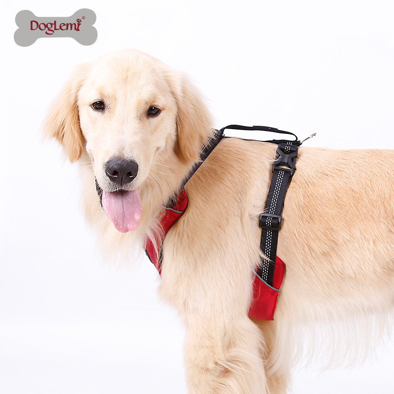 Pet Harness