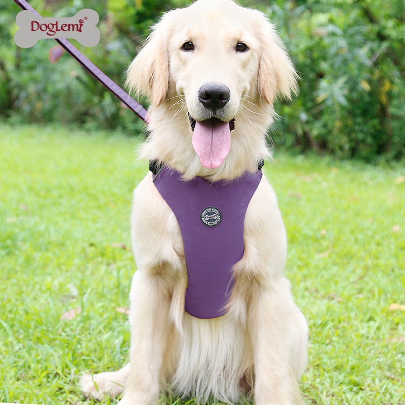Pet Harness