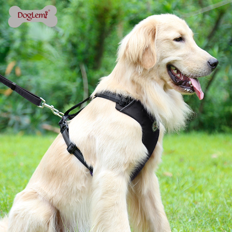 Pet Harness