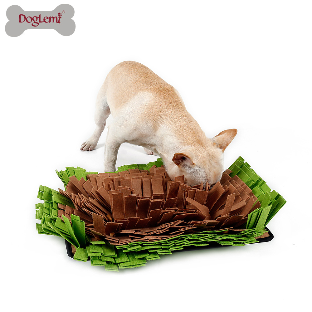 Übungsmatte für Haustiergeruch