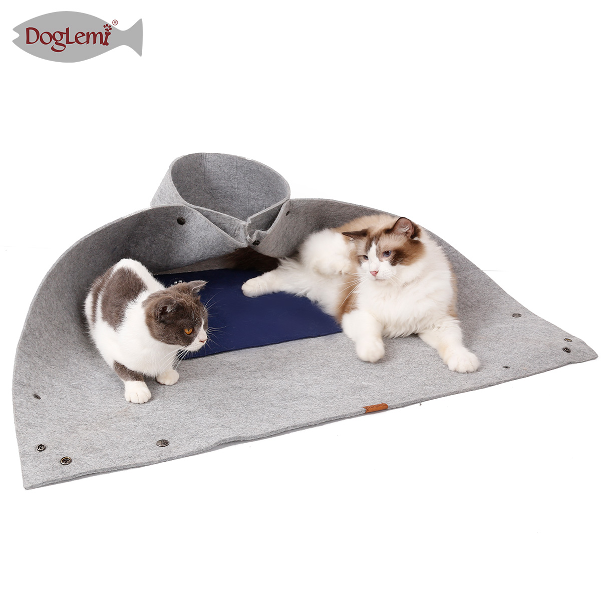 El túnel del gato de pétalos