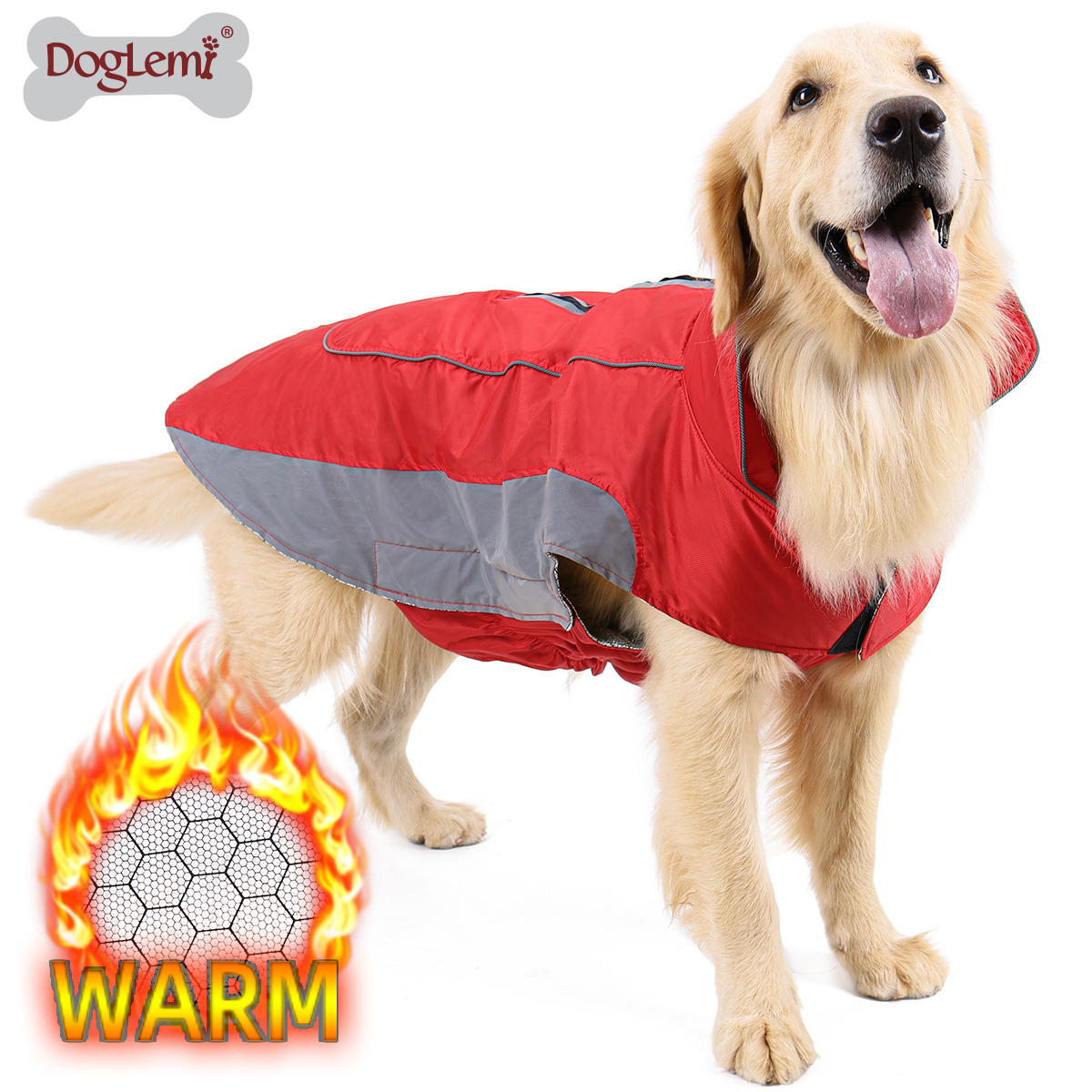 La ropa deportiva para perros de segunda generación.