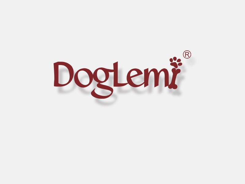 China Company video manufacturer