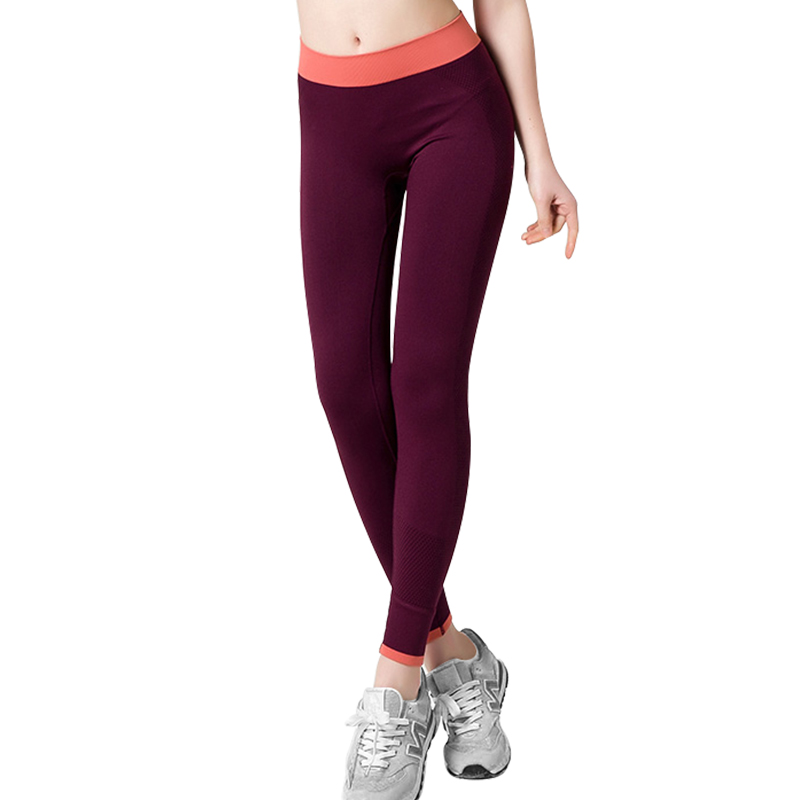 Seamless Nylon Leggings Factory