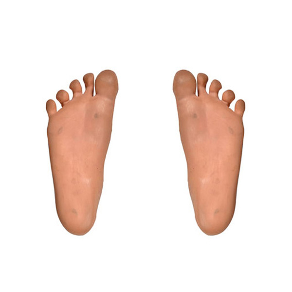 Medical foot model China PU foam casting suppliers, PU foam model foot, polyurethane self skinning material model foot,China PU model product suppliers