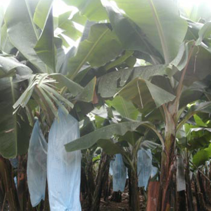 Banana Bunch Cover Supplier, PP Non Woven Banana Bunch Cover, Banana Protection Cover Wholesale In China