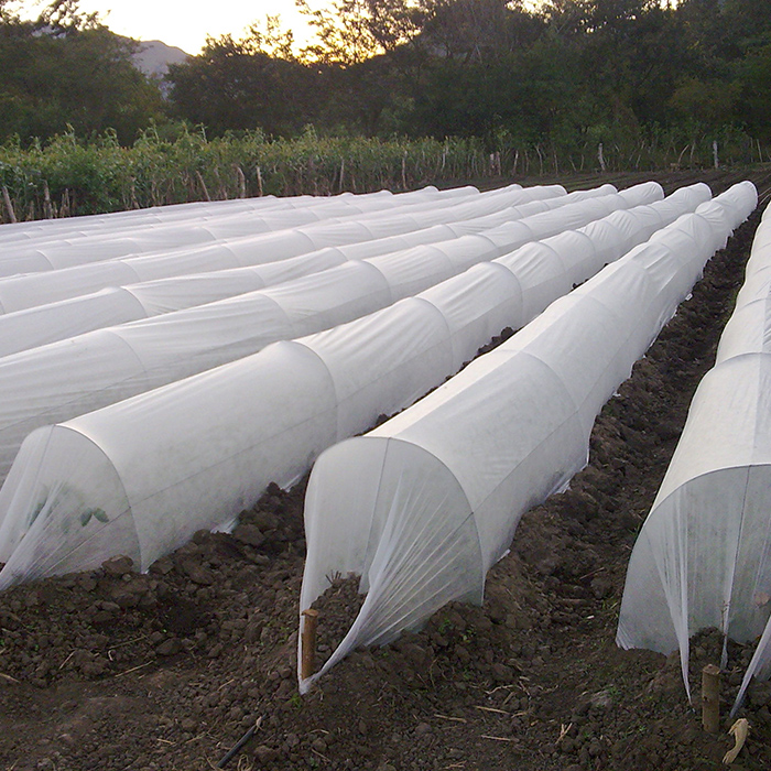Non Woven Film Greenhouse For Agriculture Farming
