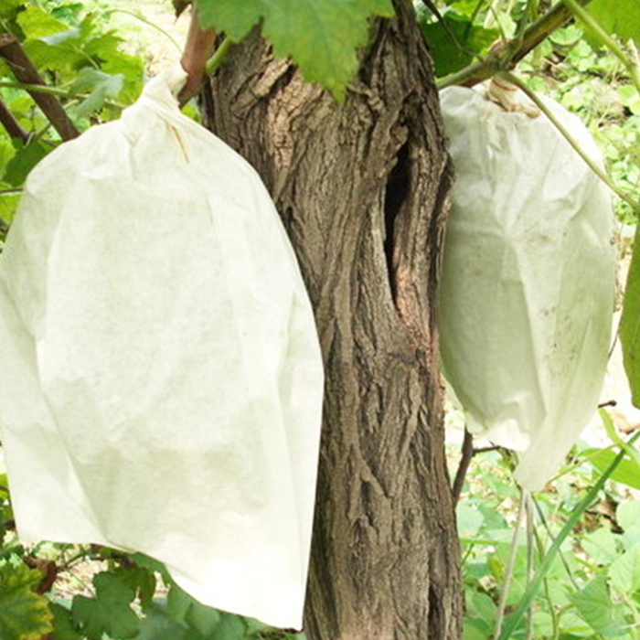 Grape Growing Bags Factory, Reusable Non Woven Fabric Grape Growing Bags, Grape Growing Bags Vendor In China