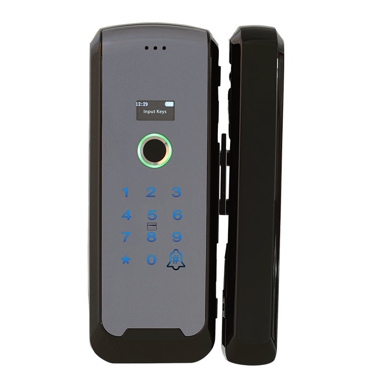 Fingerabdruck-intelligente Glastürschloss-Schlag-Karten-digitales biometrisches rahmenloses Glastür-elektrisches Riegelschloss für Büro, Speicher, Haus