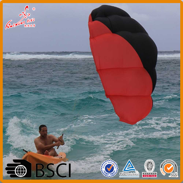 Питер Линн 4 линии Single Skin Kite