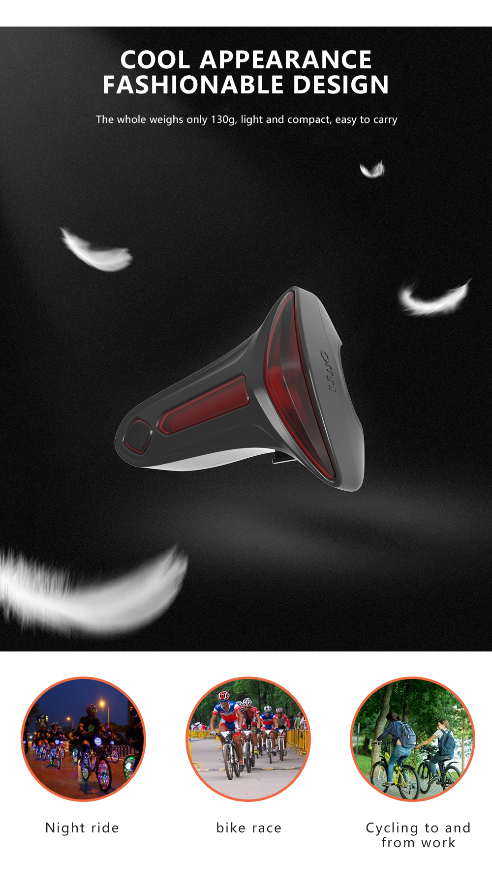 rear tail light assembly