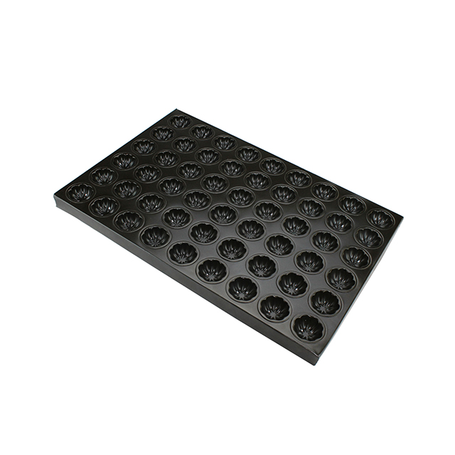 عموم الخبز العفن عموم